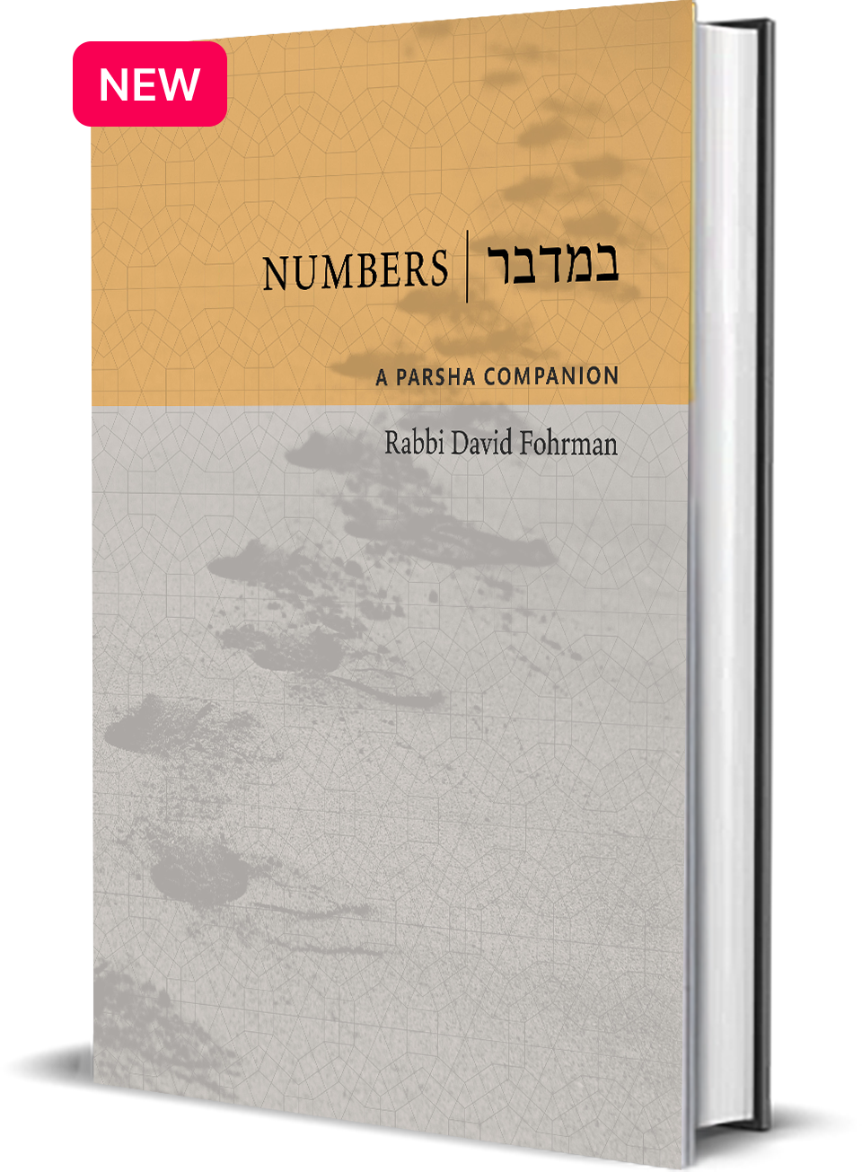 Numbers | A Parsha Companion – Aleph Beta Shop