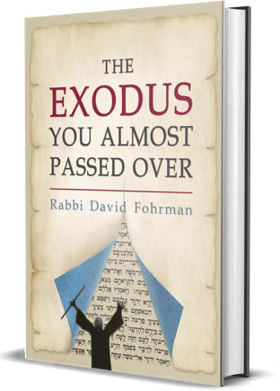 Passover Book | The Exodus You Almost Passed Over
